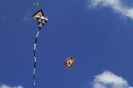 2006